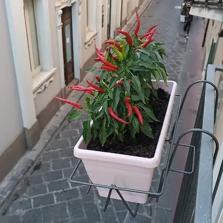 Apartman La Casetta Di Elia Lipari