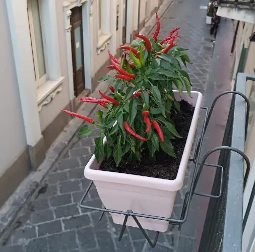 Apartman La Casetta Di Elia Lipari